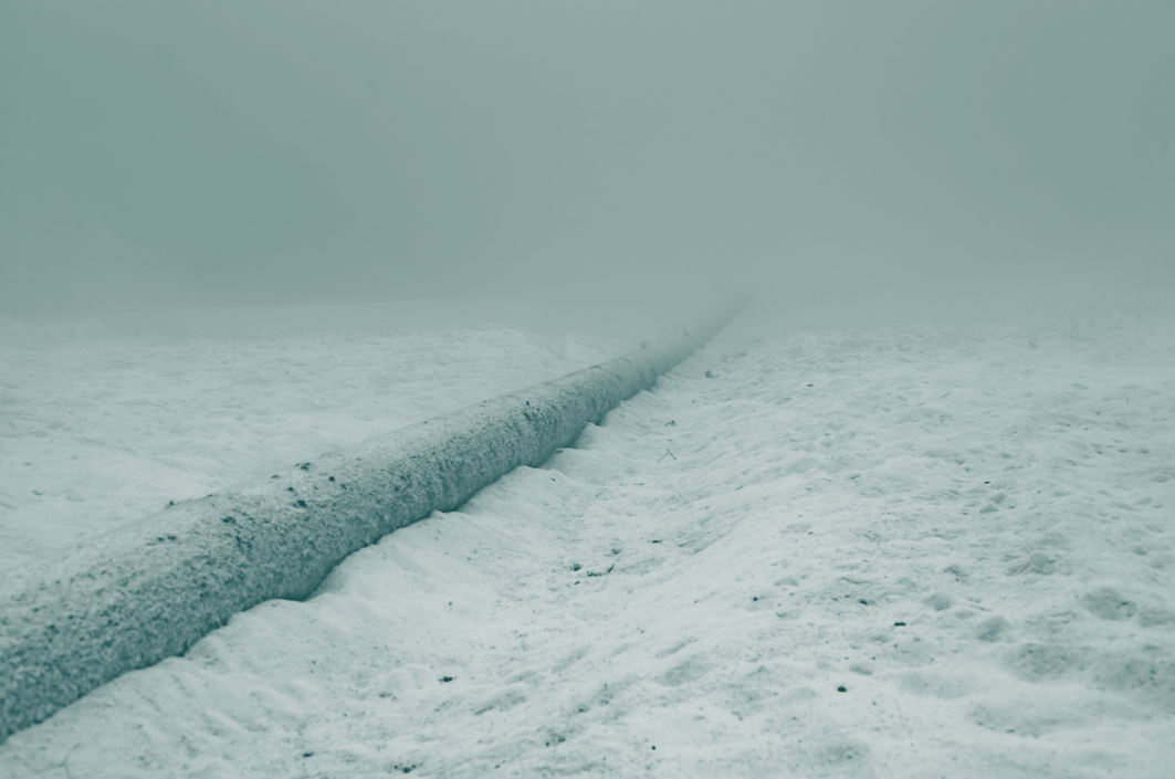 Telecommunications cable on seabed